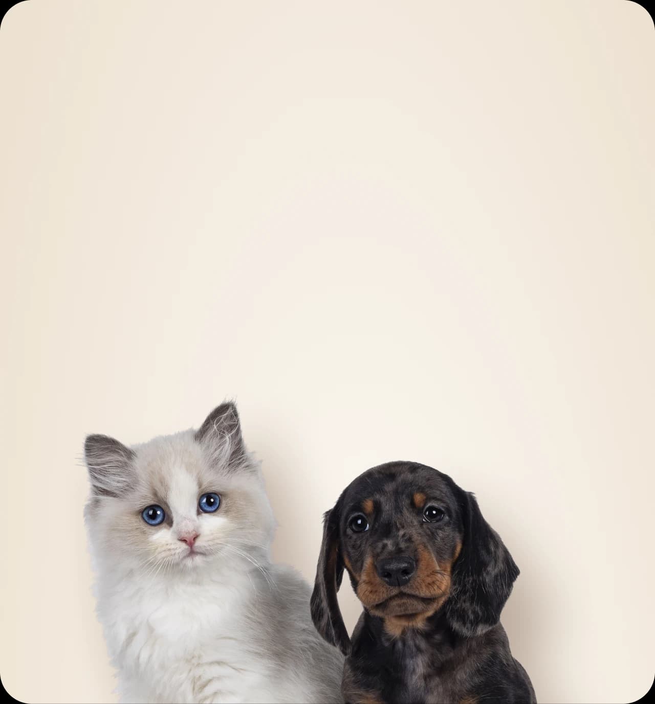 Mobile banner background